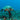 Hawksbill